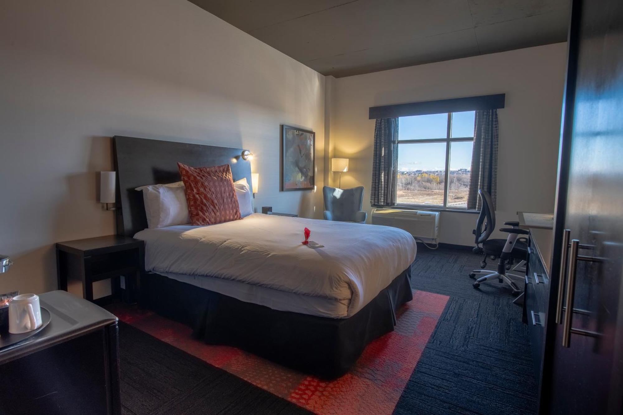Comfort Queen Room,1498794916:JPEG